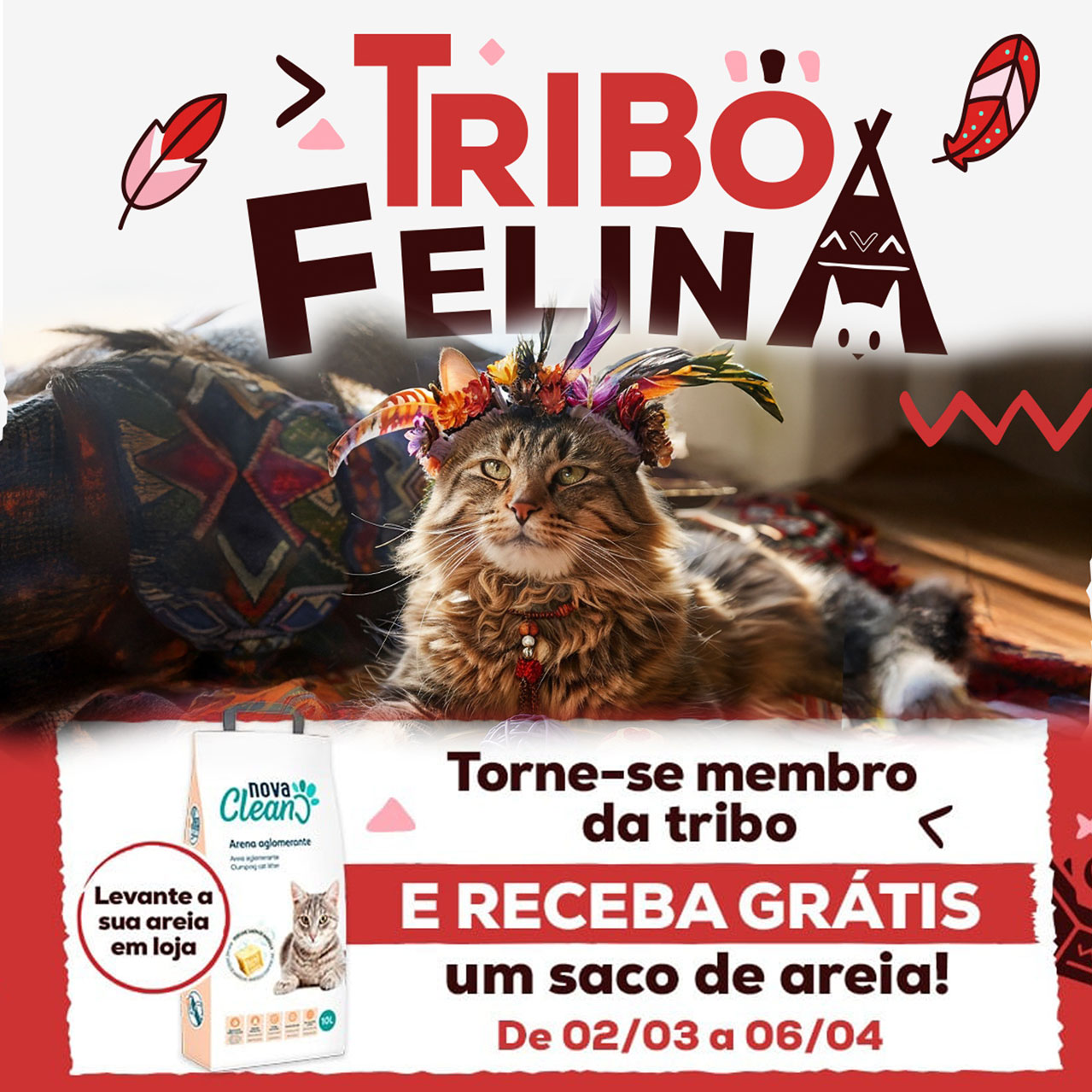 A Kiwoko está a oferecer areia grátis para o seu gato!